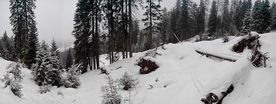 PANO_20150221_101410187