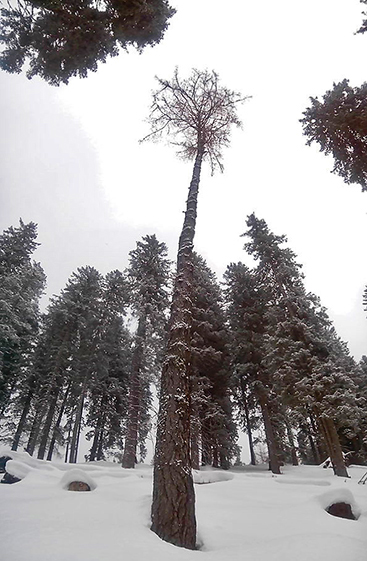 PANO_20150221_115952243